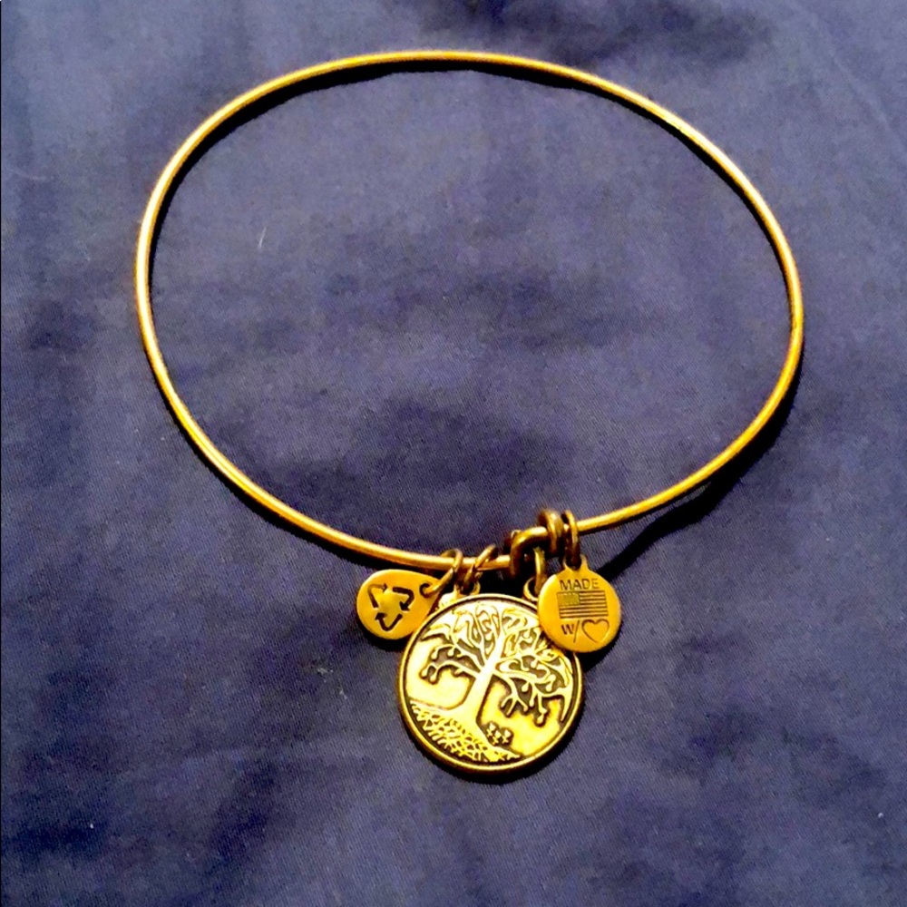 Alex and Ani bangle